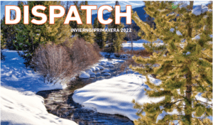 Cover art for Winter/Spring 2022 Dispatch Spanish Version