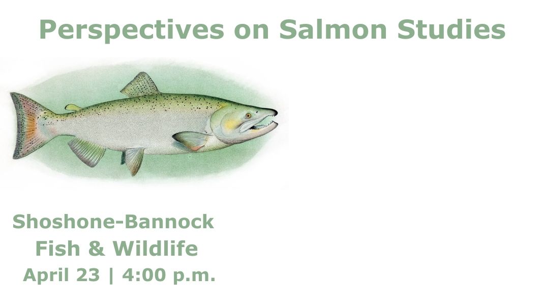 Salmon Studies slider