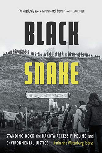 book cover "Black Snake"