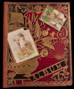 Frank Ensign's scrapbook of political events in Idaho from the 1890s to 1930.