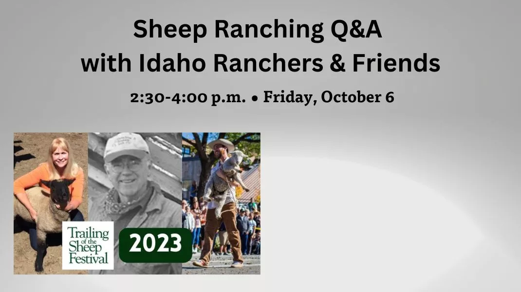 Sheep Ranching Q&A with Idaho Ranchers & Friends