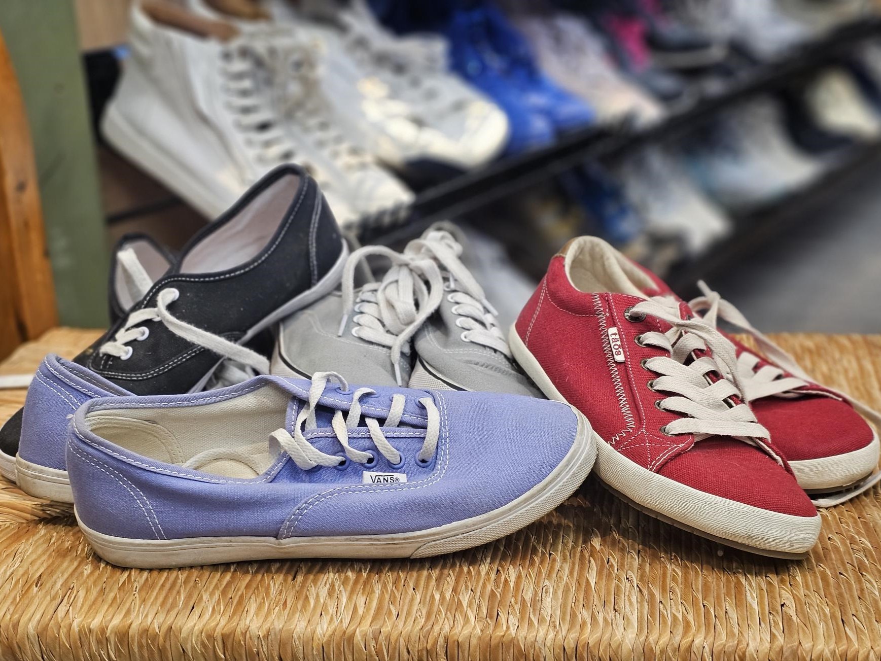 Colorful Keds and Vans sneakers GMT