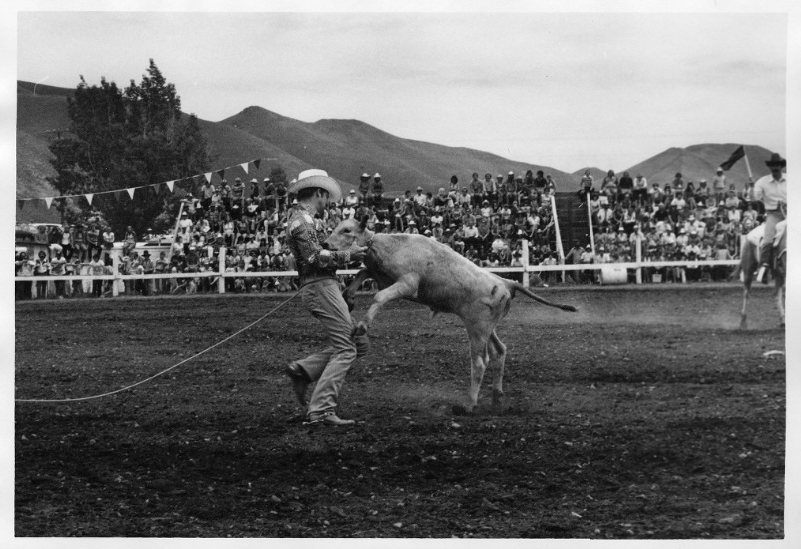 A cowboy in a rodeo ground ropes a calf.