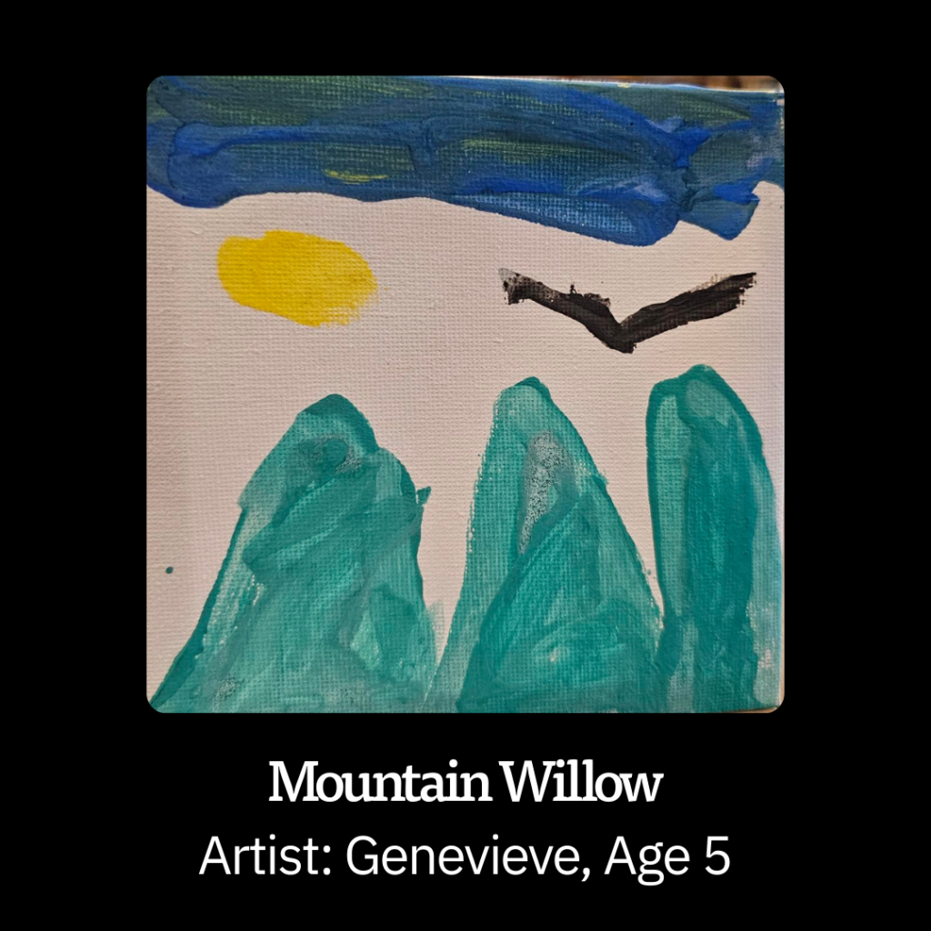 Tiny Art Mountain Willow by Genevieve Age 5