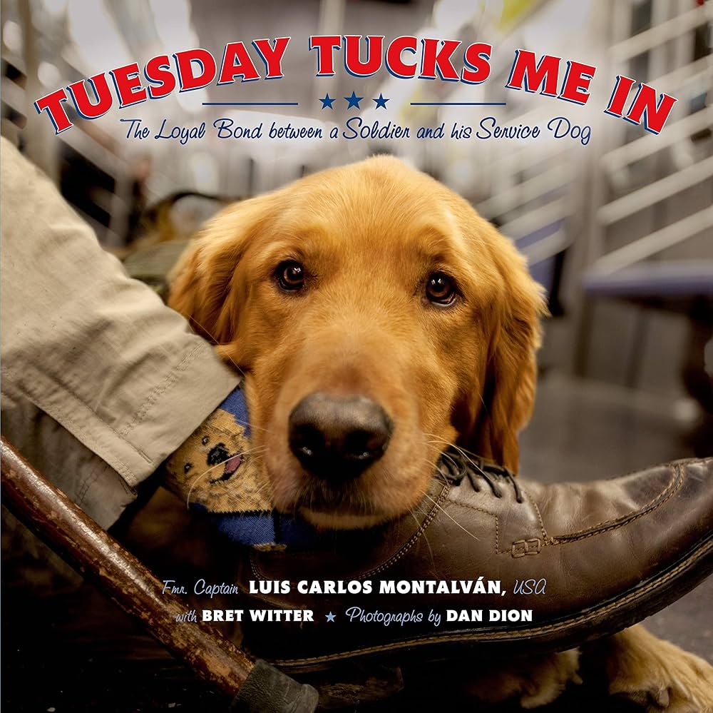 book Tuesday Tucks Me In