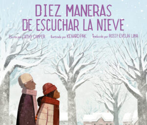book Diez maneras de escuchar la nieve