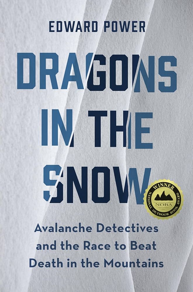 book Dragons in the snow