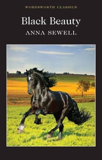 Black horse with white on forehead and flowing black mane and tail in front of a wheat field. 