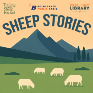 Sheep Stories 2026