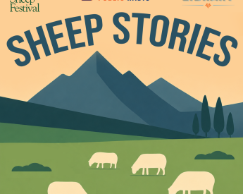 Sheep Stories 2026